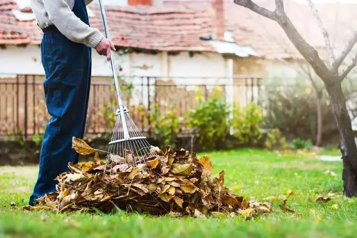 Detailed Yard Cleanup in Sandy Springs, GA