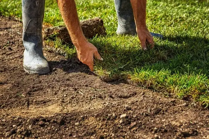 Excellent Sod Installation in Sandy Springs, GA