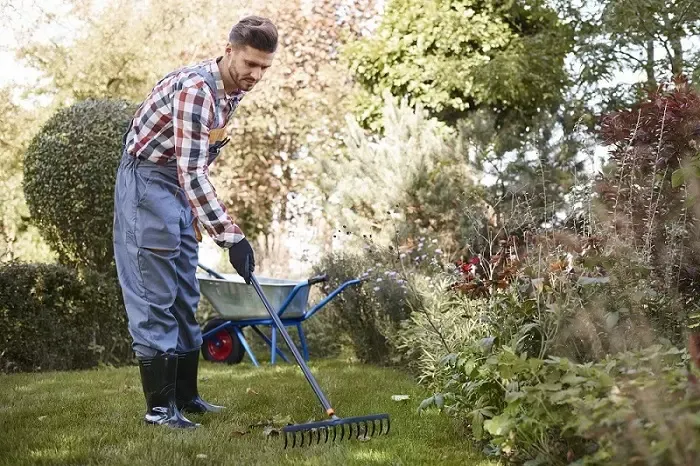 Exceptional Yard Cleanup in Sandy Springs, GA