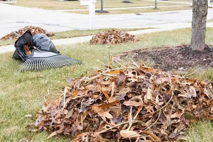 High-quality Yard Cleanup in Sandy Springs, GA