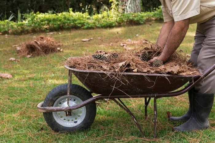 How To Clean A Backyard in Sandy Springs, GA