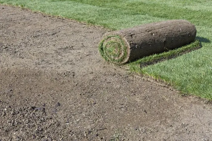 How long after installing sod can you walk on it Sandy Springs, GA