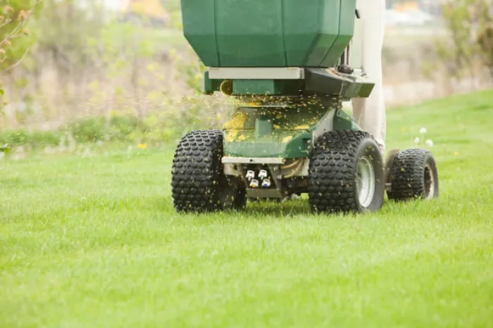 How often should you fertilize your lawn Sandy Springs, GA