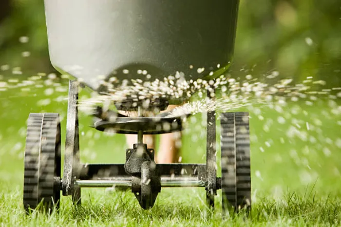 How often should you fertilize your lawn in Sandy Springs, GA