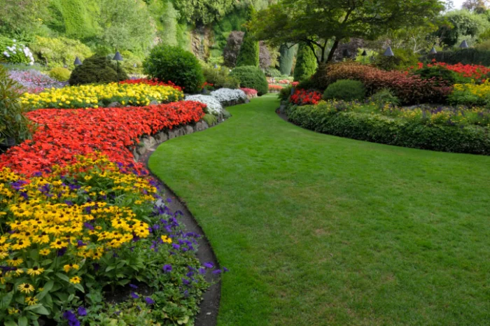 Landscaping Company in Sandy Springs, GA