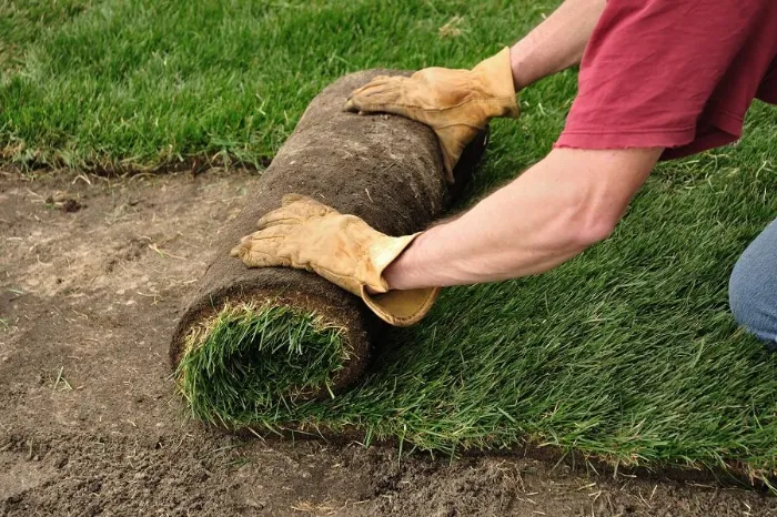 Proficient Sod Installation in Sandy Springs, GA