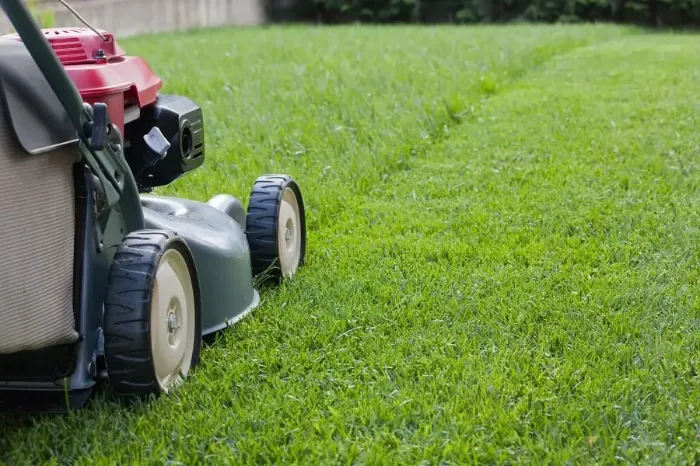 Reliable Lawn Mowing in Sandy Springs, GA