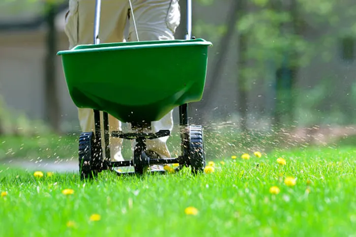 Top-notch Lawn Fertilization in Sandy Springs, GA