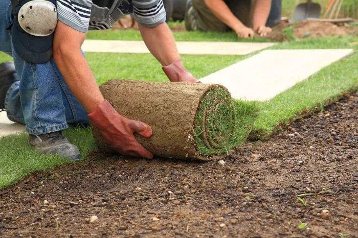 Trusted Sod Installation in Sandy Springs, GA