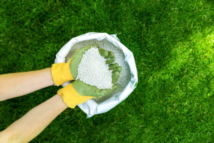 When is the best time to fertilize your lawn Sandy Springs, GA