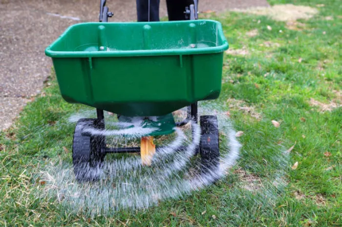 When is the best time to fertilize your lawn in Sandy Springs, GA